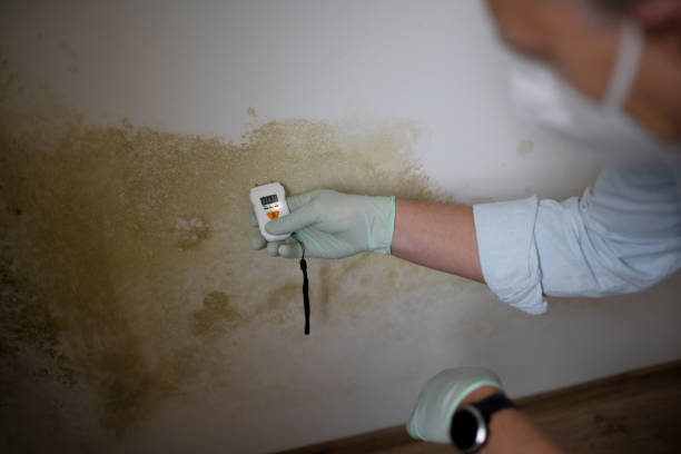 Best Residential Mold Inspection & Testing  in Baden, PA